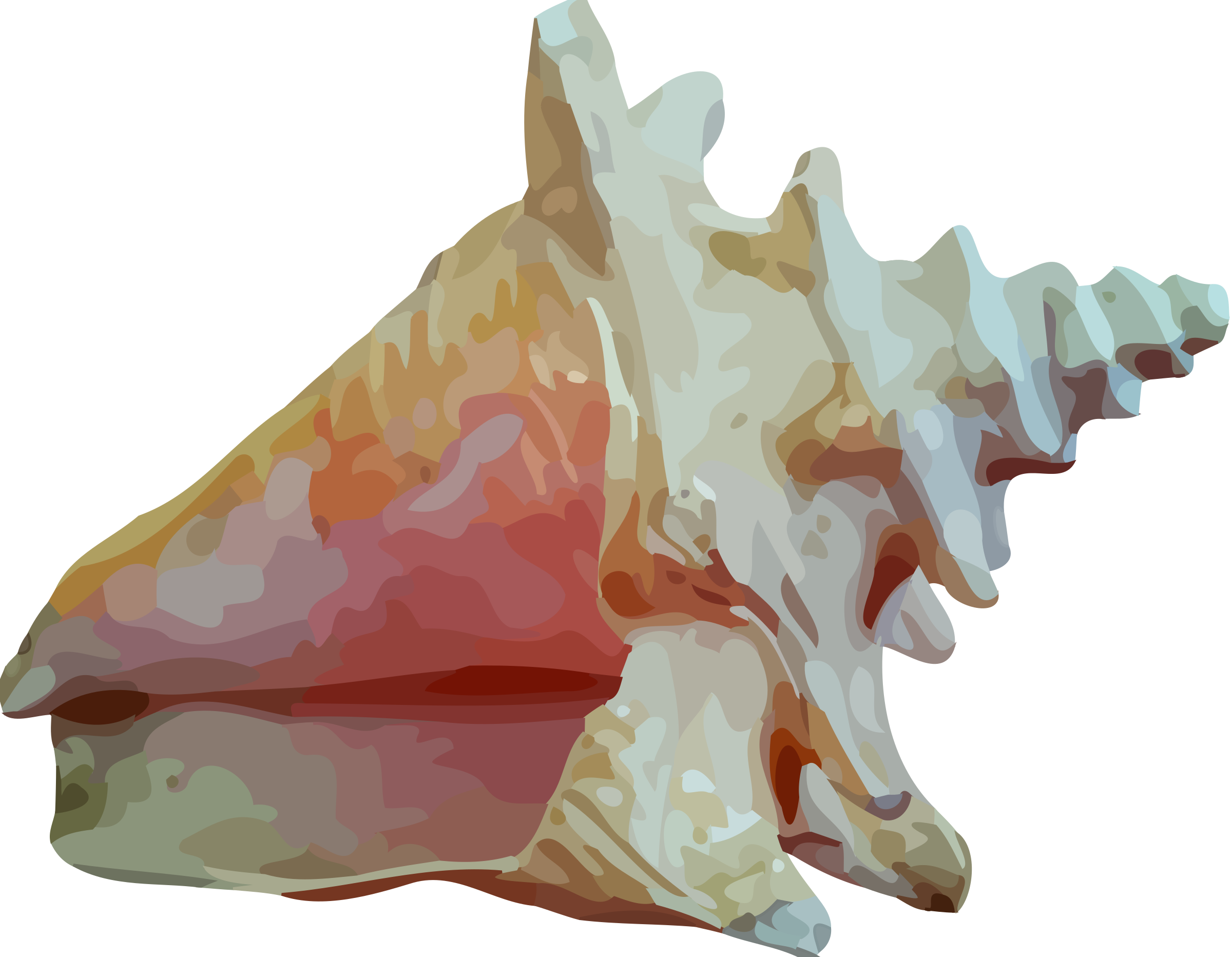 This Free Icons Png Design Of Sea Shell 12 (2400x1864), Png Download