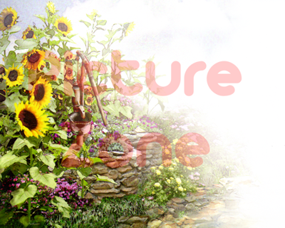 Sunflower (400x320), Png Download