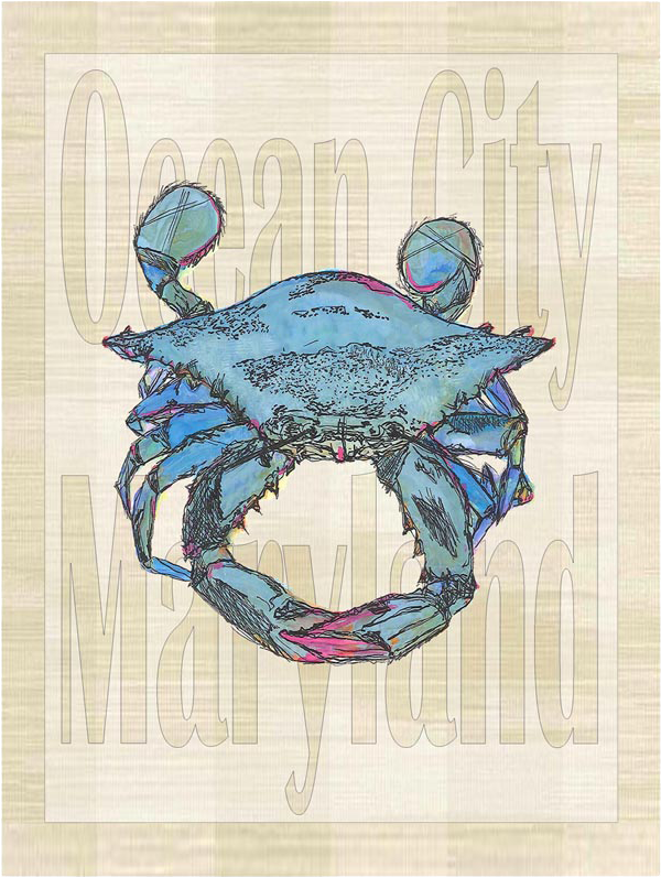 Illustration (800x800), Png Download