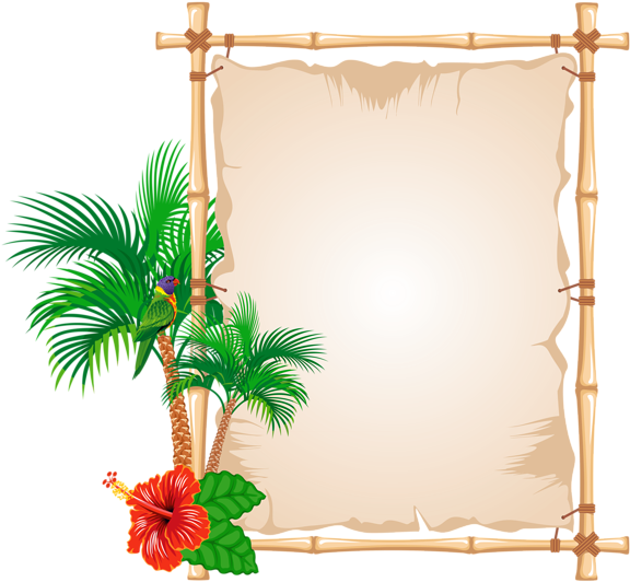 Tropical Frame Cliparts - Frames And Borders Design (600x560), Png Download