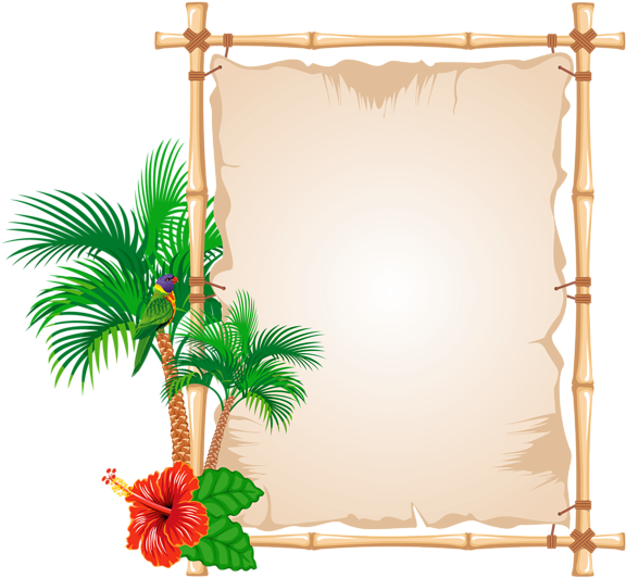 download tropical frame cliparts frames and borders design png image with no background pngkey com