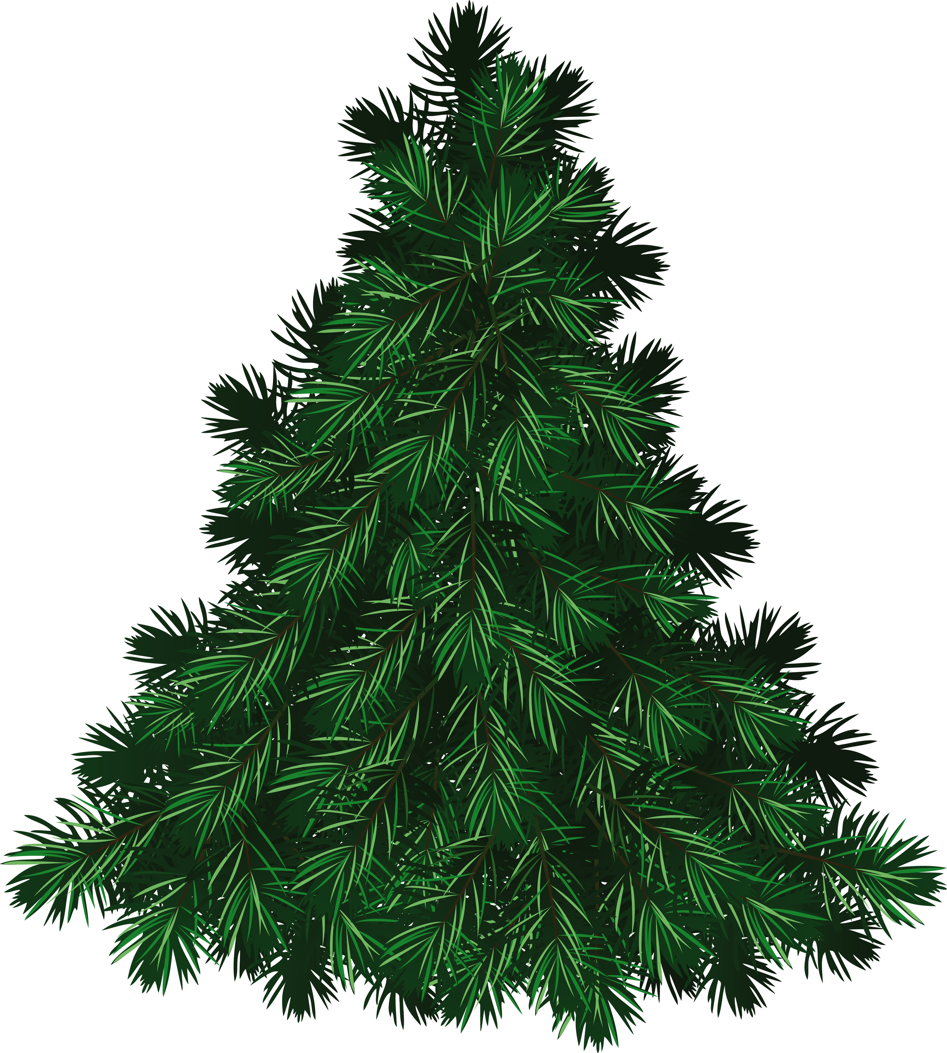 Fir Tree Transparent Background (3160x3514), Png Download