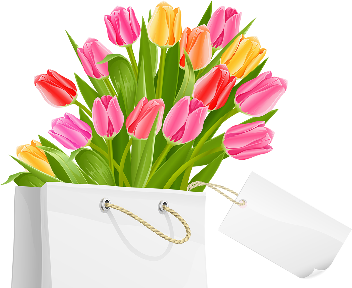 Spring Bag With Tulips Png Clipart Picture Tulip Clipart, - Happy Women's Day Clip Art (1200x1025), Png Download