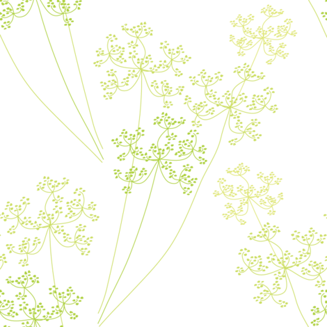 Queen Anne's Lace Fabric By Bartlett&craft On Spoonflower - Queen Anne's Lace Png (470x470), Png Download