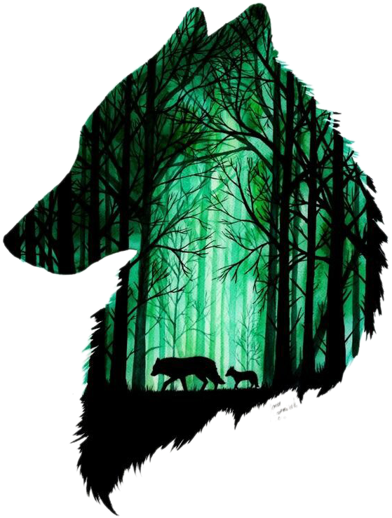 Drawing Forests Watercolor - Call Of The Wild; Paperback; Author - Jack London (600x789), Png Download