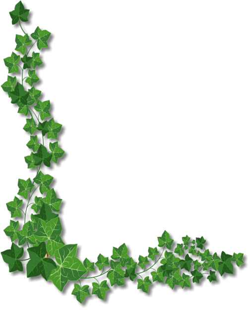 Content On This Page Requires A Newer Version Of Adobe (504x623), Png Download