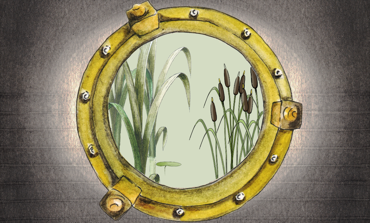Murpworks Afloat Porthole Reeds Watercolour - Lifted Research Group (1295x780), Png Download