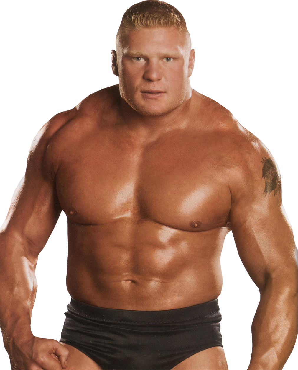 Wwe Clipart Brock Lesnar - Wwe Brock Lesnar Body (1011x1253), Png Download