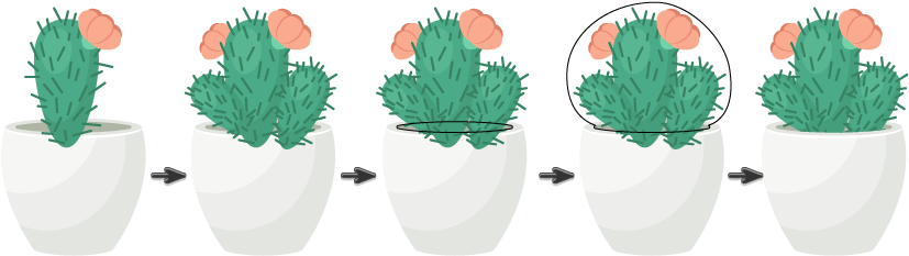 Banner Library How To Create A Trio Of Succulents - Cactus Illustration Transparent (850x329), Png Download