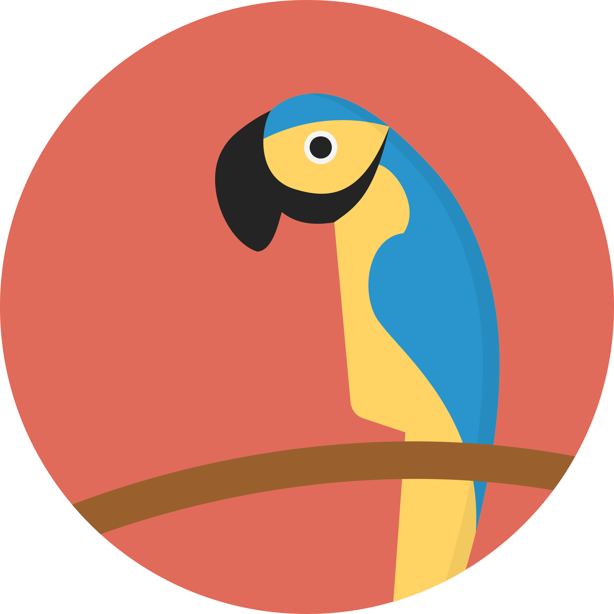 File Creative Tail Animal Wikimedia Commons Open - Parrot In A Circle (2000x2000), Png Download