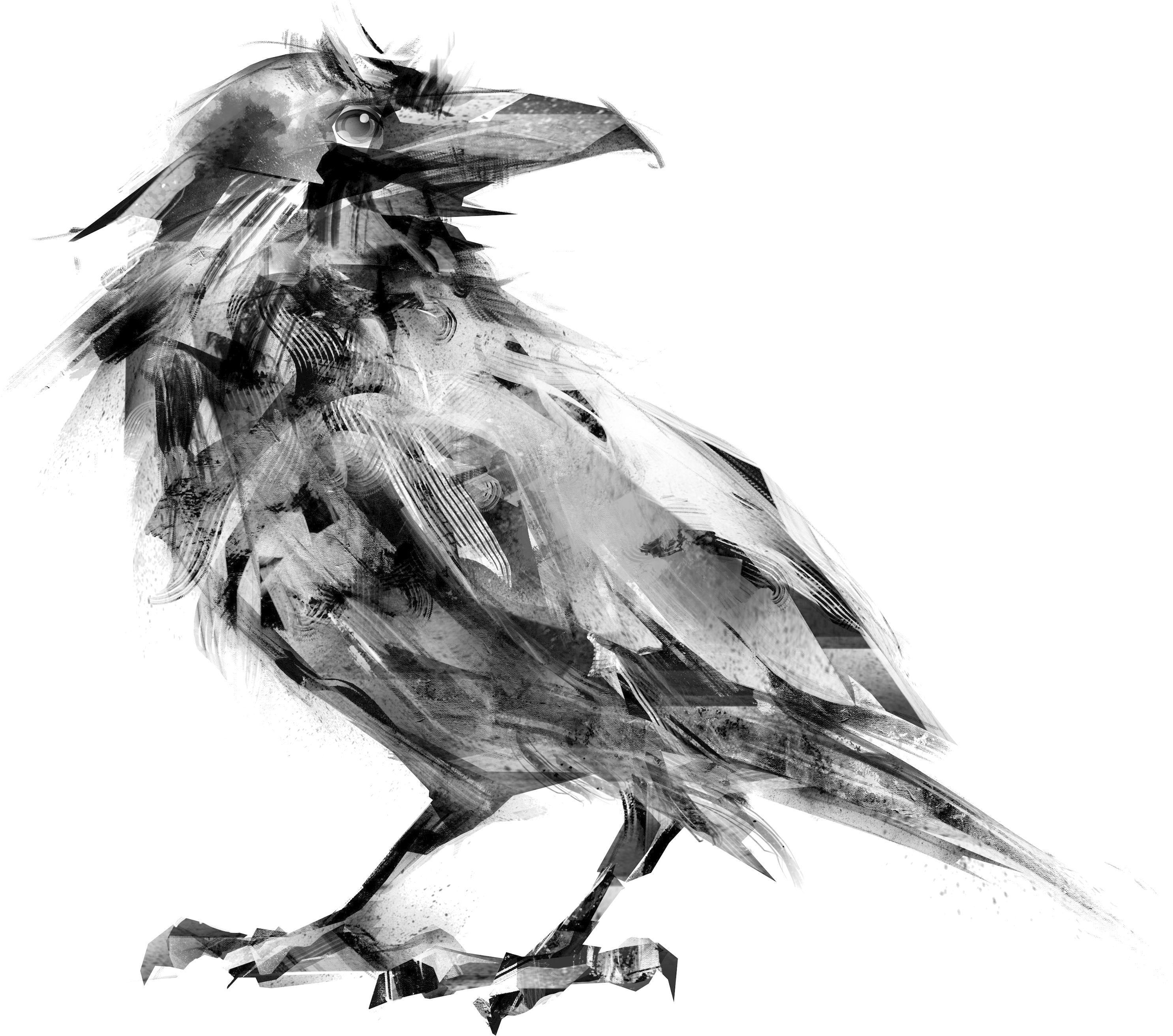 Animus - Edgar Allan Poe: The Complete Audio Collection [book] (4000x4000), Png Download