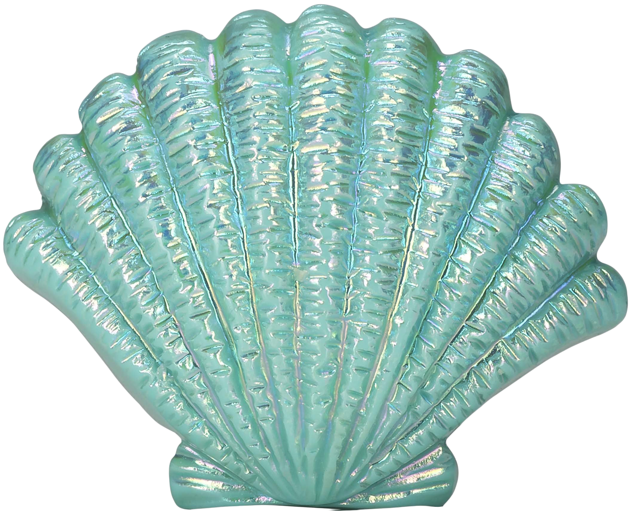 Free Png Blue Seashell Png Images Transparent - Transparent Background Seashell Png (850x792), Png Download