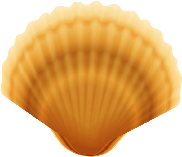 Shell Clipart Clam - Clam Shell Png (600x517), Png Download