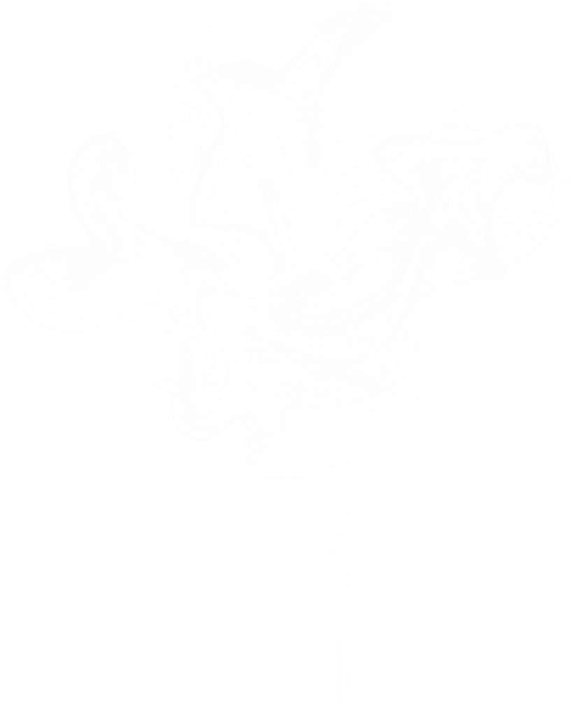 Portable Network Graphics (838x1024), Png Download