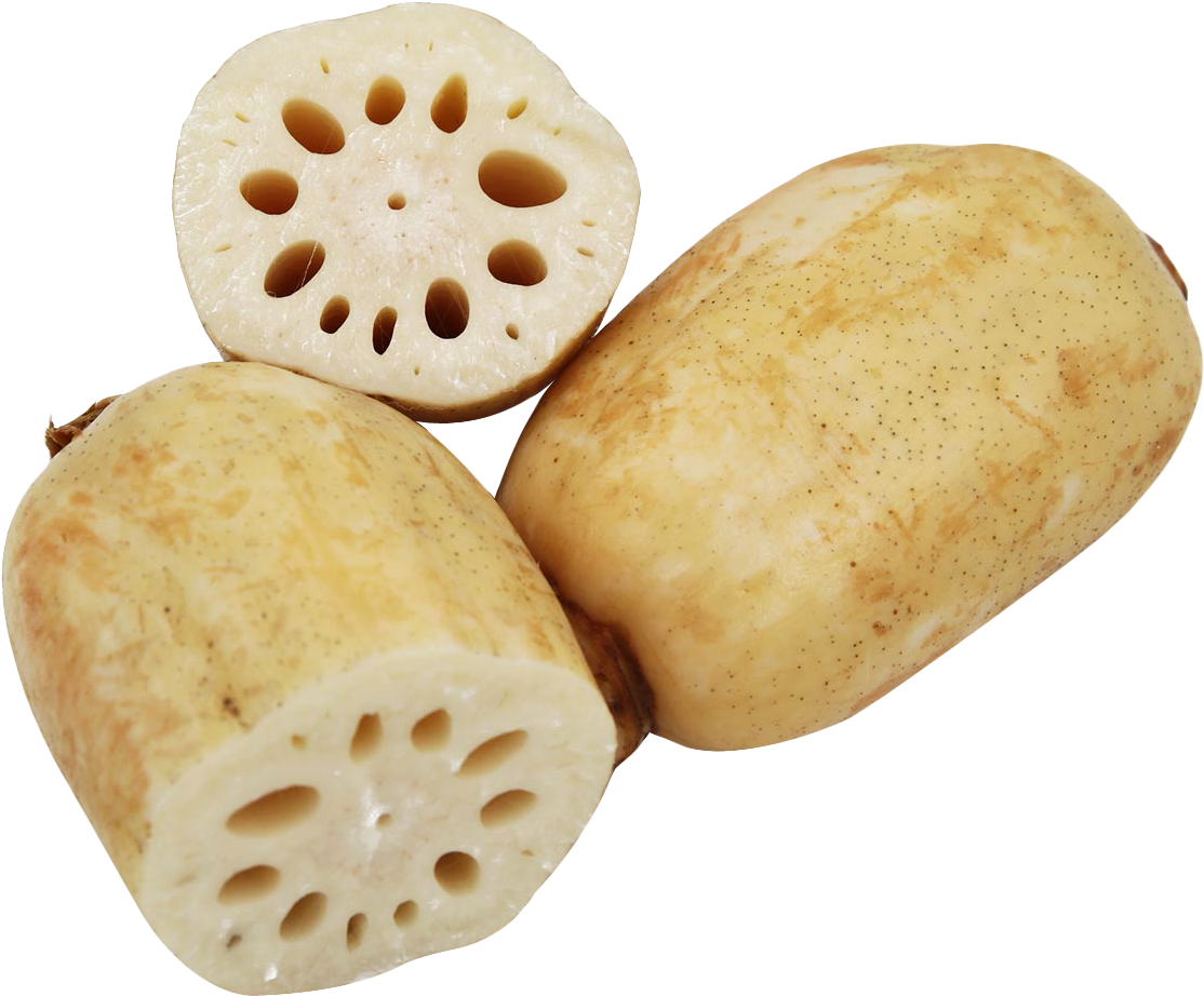 Lotus Root Png (1147x969), Png Download