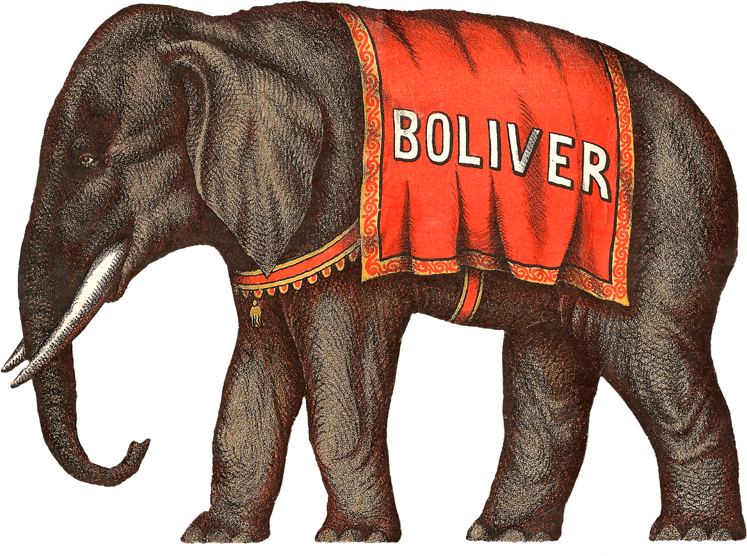 Circus Elephant Victorian - Circus (1600x1189), Png Download