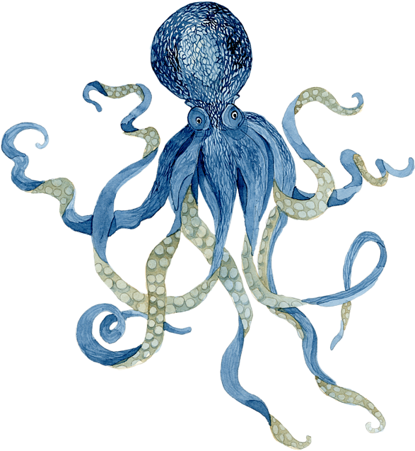 Bleed Area May Not Be Visible - Octopus Steampunk Octopus Ocean Shower Curtains (600x658), Png Download