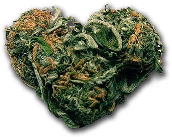 Transparent Blunt Tumblr - Love Bud Poster Wall Print|inspirational Motivational (400x333), Png Download