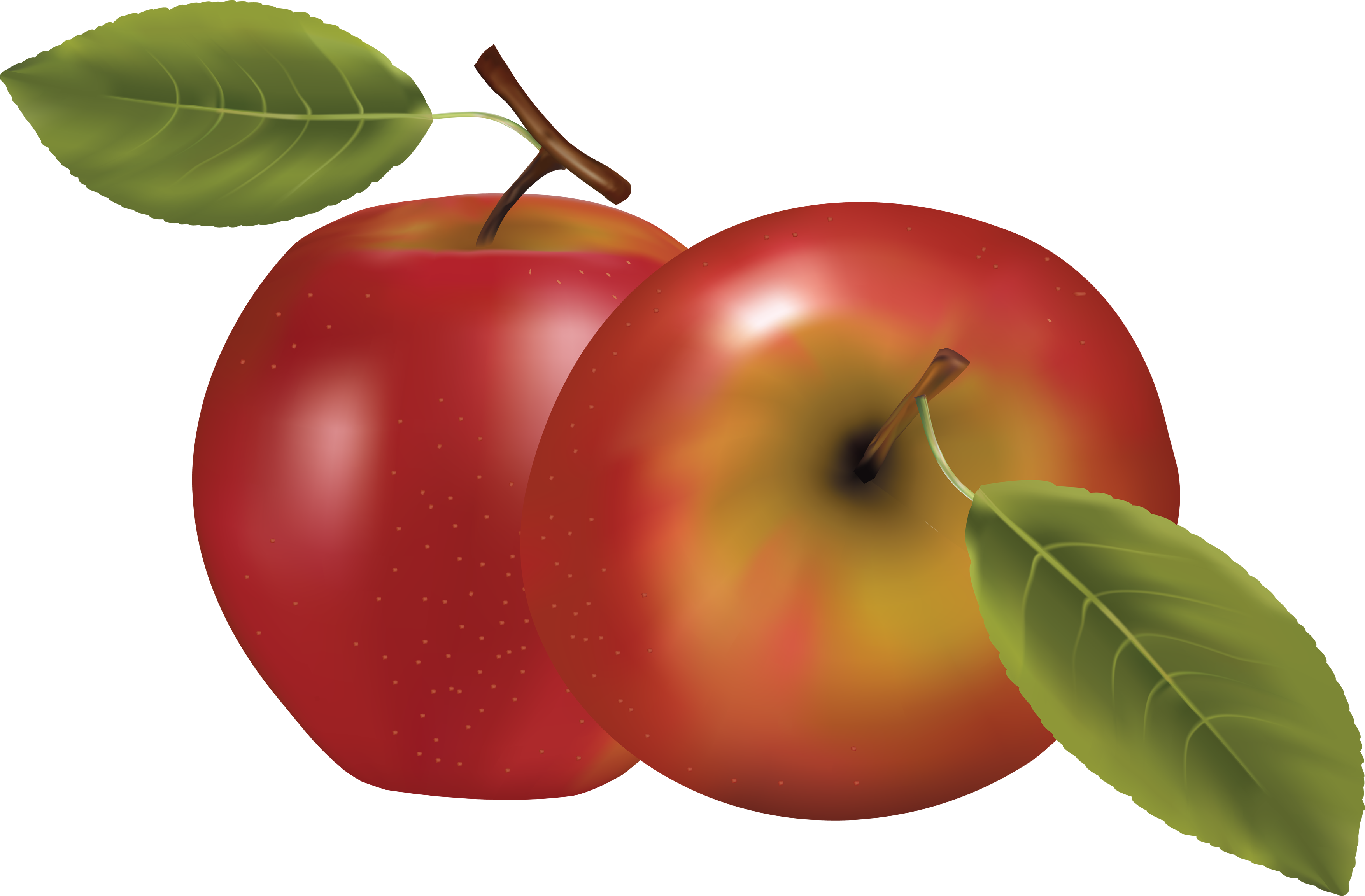 Jpg Royalty Free Library Images Free Download - Transparent Background Apples Clipart (3509x2304), Png Download