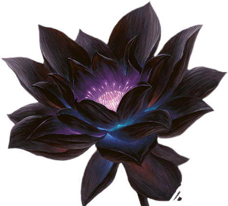 About The Game Picture Black And White Library - Lotus Flower Tattoo Wrist Purple And Black (829x420), Png Download