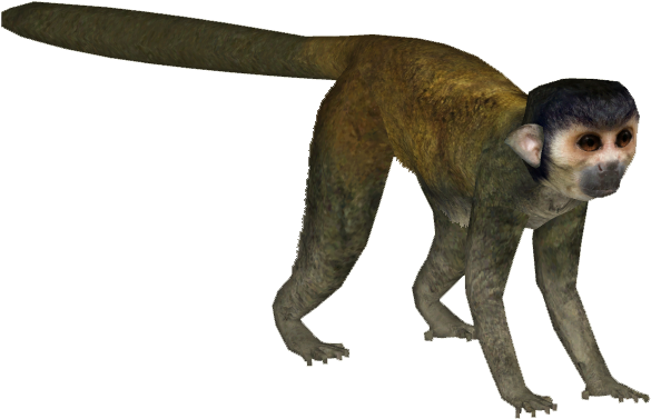 Deerfad - Zt2 Download Library Monkeys (600x600), Png Download