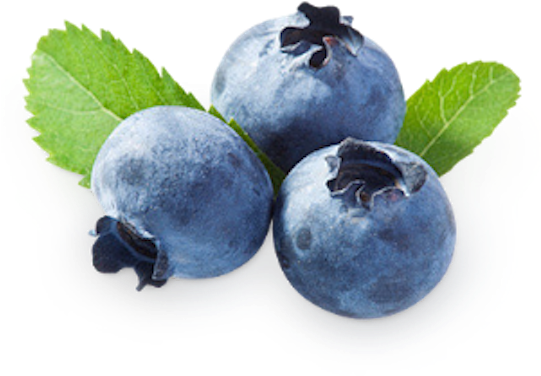 Blueberries Png - Bilberry Extract Powder 1 Lb (540x540), Png Download