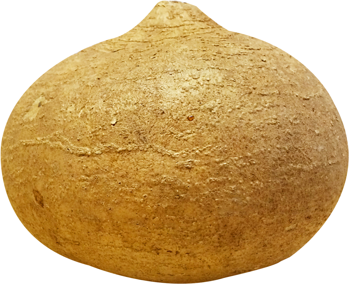 Potato Clipart Yam - Jicama Png (1199x973), Png Download