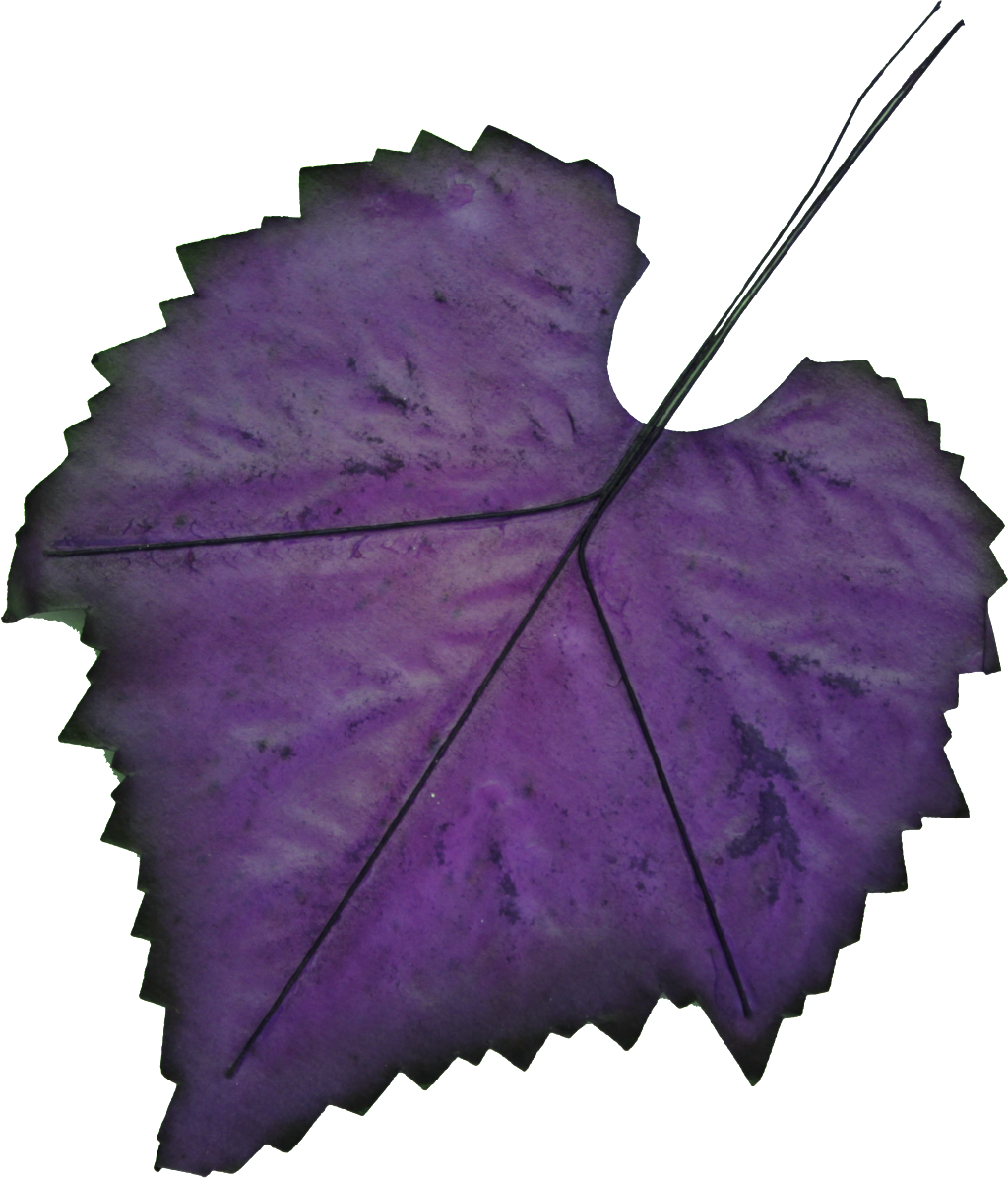 Hand-painted Leaf Png Transparent - Purple Leaf Clipart (1024x1196), Png Download