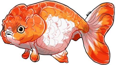 Goldfish Png Clipart Best Web Clipart - Library (500x400), Png Download