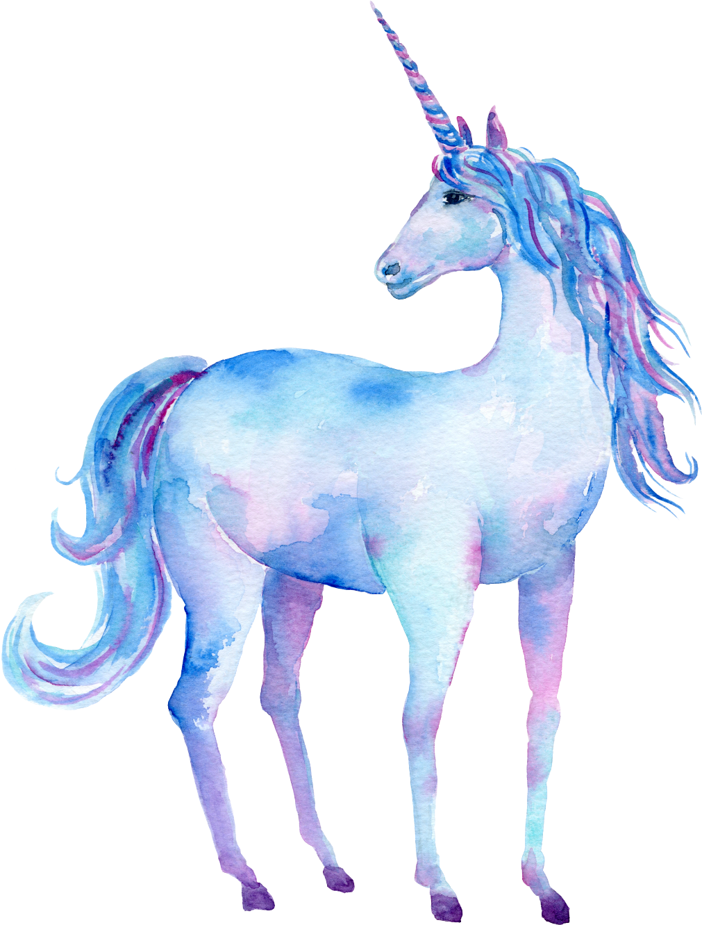 Report Abuse - Unicorn Printable (1024x1360), Png Download