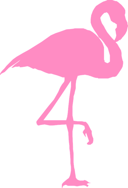 Flamingo With Crown Png Library Download - Clip Art Flamingo (490x720), Png Download