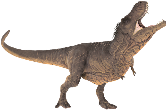 Dinosaur Images Free Group Vector Royalty Free Download - Stegosaurus Rex Dinosaur (720x720), Png Download