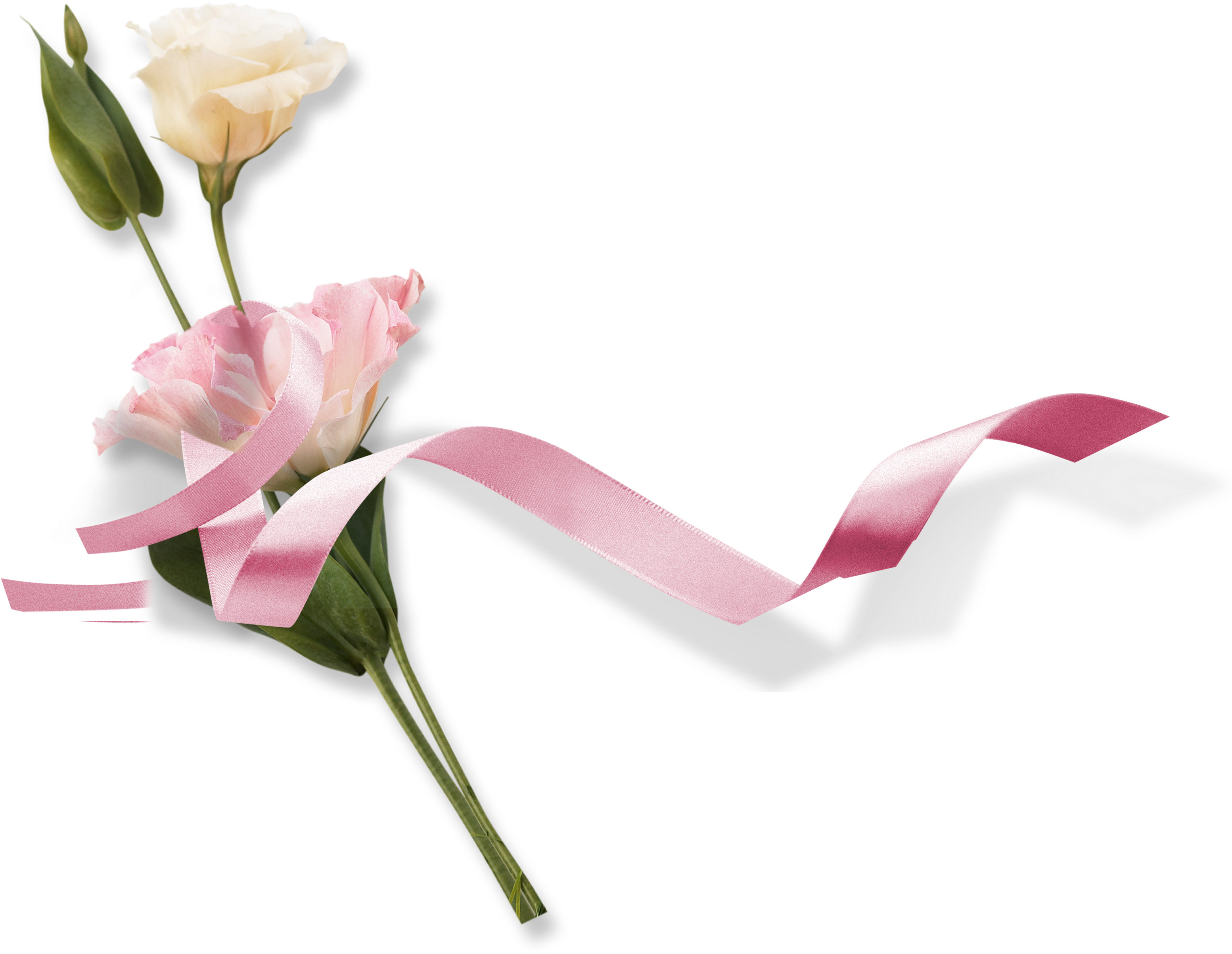 This Graphics Is Pink Flowers Decoration Png About - Portable Network Graphics (3380x2972), Png Download