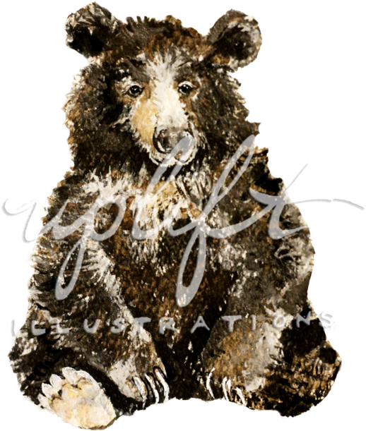 Bear (1000x850), Png Download