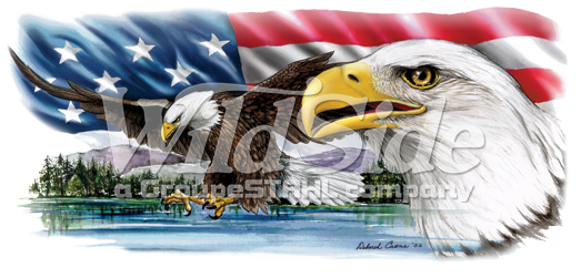 Eagles On Lake With Usa Flag - Lake (523x251), Png Download