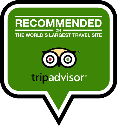 Tripadvisor Recommended Award - Tripadvisor Logo Transparent Recommended (391x422), Png Download