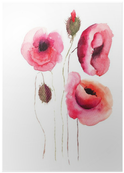 Poppy Flowers, Watercolor Illustration Poster • Pixers® - Watercolor Painting (400x400), Png Download