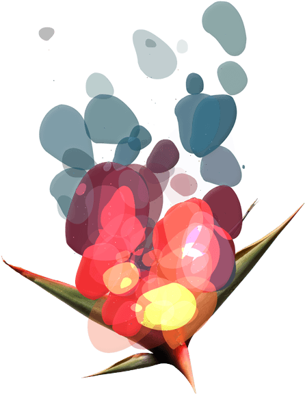 Flower Design - Web Design (750x750), Png Download