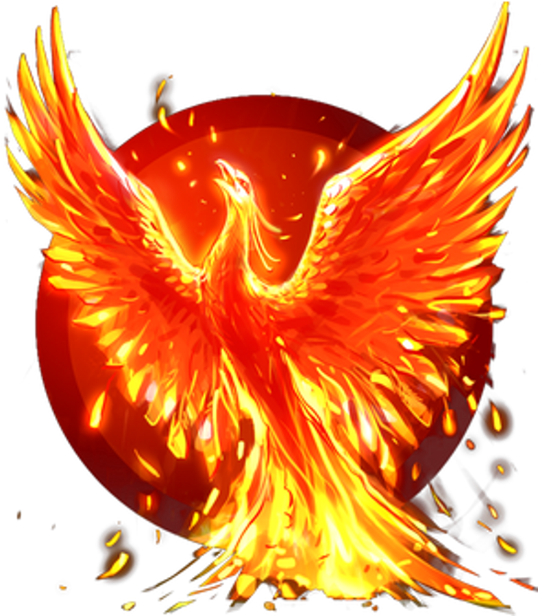 Phoenix - Phoenix With Transparent Background (800x909), Png Download