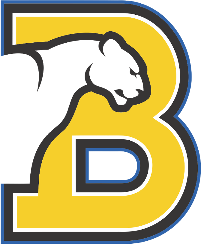 Birmingham Southern College Panthers Logo, Birmingham - Birmingham–southern College (1600x1067), Png Download