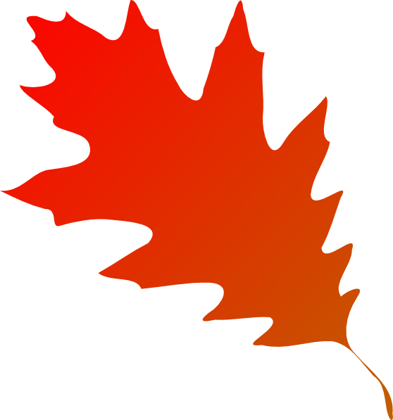 Apple, Pumpkin And Grape On Autumn Leaf Royalty - Red Fall Leaf Clipart (558x597), Png Download