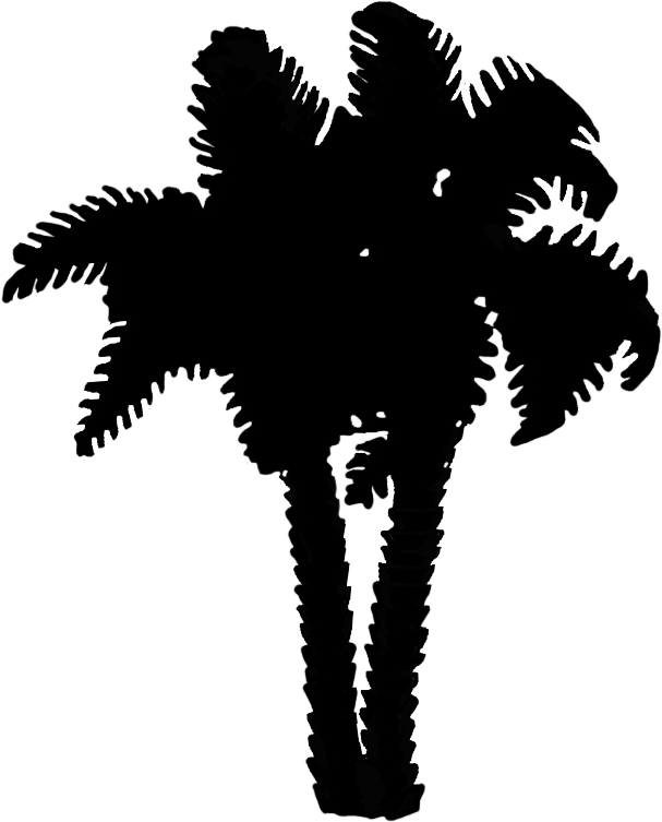 Palm Tree Silhouette - Graphics (643x798), Png Download