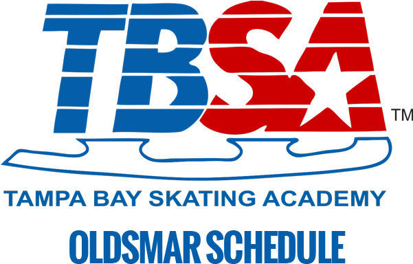 Tampa Bay Adult Hockey - Tampa Bay Skating Academy (600x446), Png Download
