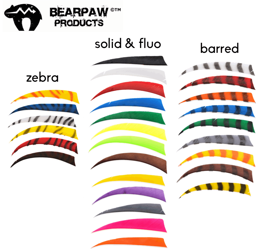 Bearpaw Clipart Bearpaw Bogentandler Gmbh Brand - Bearpaw (900x900), Png Download