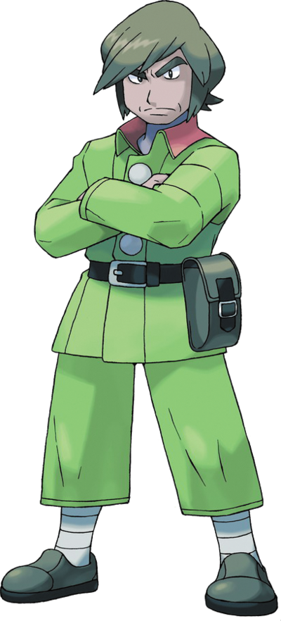 Pokemon Frontier Brain Brandon (290x600), Png Download