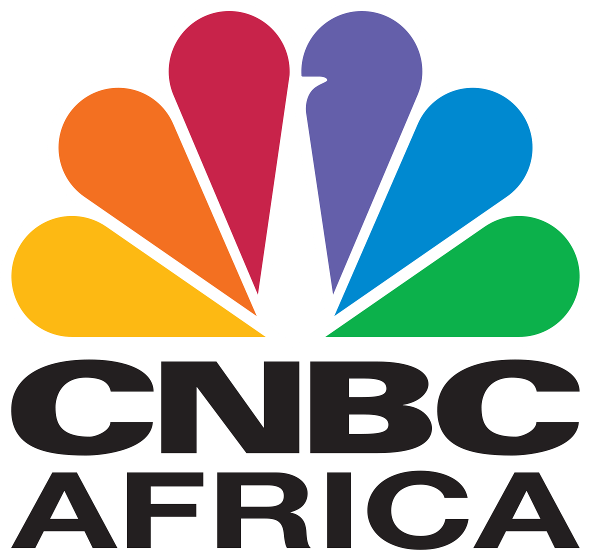 Merck Foundation Conducts Their Post-training Evaluation - Cnbc Africa Logo (1200x1112), Png Download