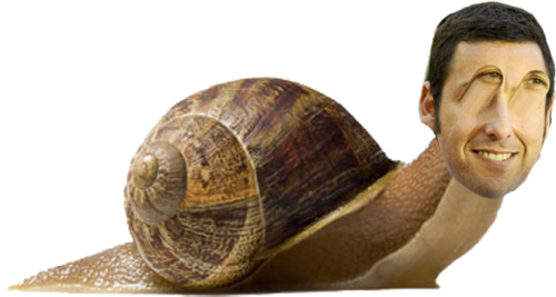 109 Notes Tags - Snail Png (500x267), Png Download