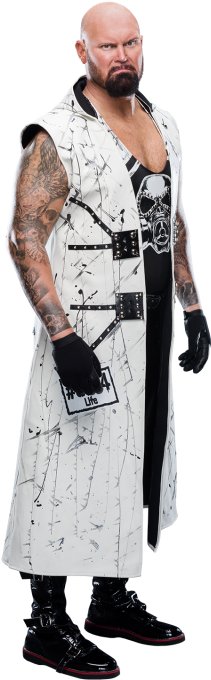 Luke Gallows - Wwe Luke Gallows Png (320x728), Png Download