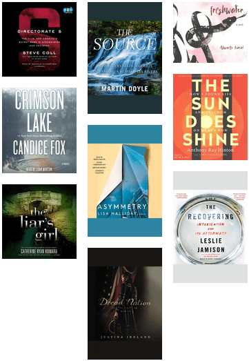 New And Interesting Audiobooks - Liar's Girl (436x568), Png Download