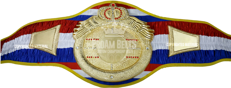 Victory Heavy Dc Rwb - Custom Championship Boxing Title Belt Victory (800x347), Png Download